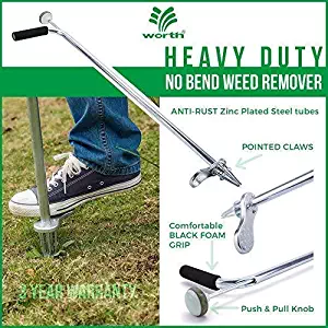 Best How To Remove A Stump Without A Grinder