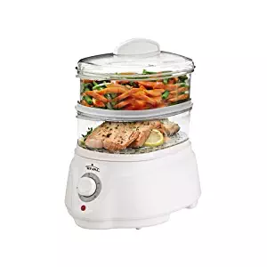 Best Automatic Steamer Rival
