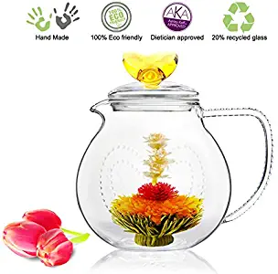 Best Bird Spout Tea Kettle