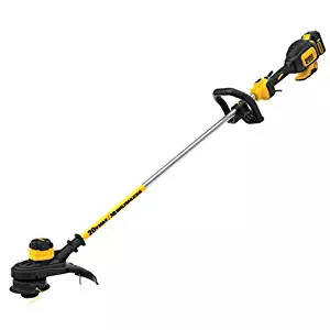 Best Dewalt 60 Volt Batteries
