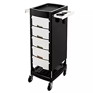 Mefeir Beauty Salon Trolley with 5 ABS Drawers, One Metal Holder, Rolling Wheels for Stylist Hairdresser, SPA Furniture Hair Styling Station Coloring Storage Cart