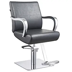 Beauty Salon Styling Chair All Purpose Hydraulic Salon Stylist Chair - Meteor
