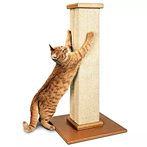 Pioneer Pet SmartCat The Ultimate Scratching Post