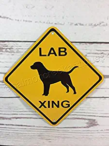 Lab Labrador Xing Metal Caution Yellow Dog Crossing Sign 6"x6"