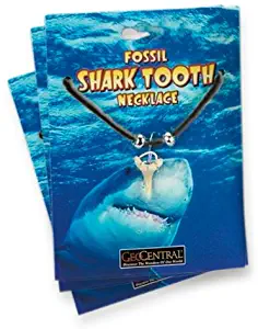 Shark Tooth Necklace(strings color may vary)