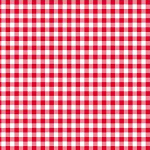 Disposable Red and White Gingham Paper Napkins (Pack of 50)