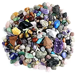 Rock & Mineral Collection Activity Kit (Over 150 Pcs) with Educational Identification Sheet plus a genuine Meteorite fragment, Fossilized Shark Teeth and Arrowheads, Dancing Bear Brand