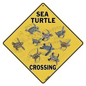 CROSSWALKS Sea Turtle Crossing 12" X 12" Aluminum Sign (X171)