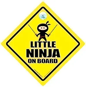 DRIVING iwantthatsign.com Little Ninja On Board, Baby On Board Car Sign Style, Bumper Sticker, Karate Car Sign, Kung Fu Car Sign