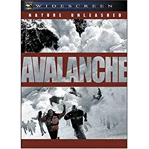 Nature Unleashed: Avalanche