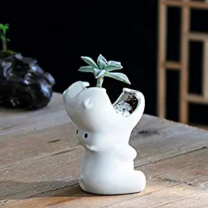 Cute Cartoon Animal Hippo Shaped Ceramic Succulent Cactus Flower Plant Pot Planter for Home Garden Office Desktop Decoration (Plant Not Included)