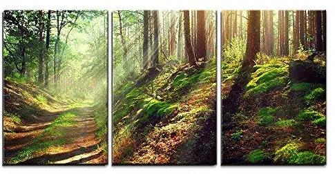 wall26 - 3 Piece Canvas Wall Art - Beautiful Scene of Misty Old Path in Forest on an Sunny Autumn Morning - Modern Home Art Stretched and Framed Ready to Hang - 24"x36"x3 Panels