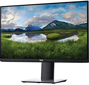 Dell 24 Monitor P2421D