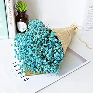 XINFENG Natural Gypsophila Baby's Breath Dried Flowers Bouquet Bundle, Desktop DIY handcrafts Floral Full Stars Dry Flower Bunch Arrangements Decorative for Home Office Wedding Store (Blue)