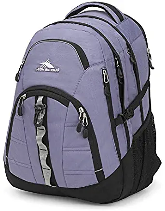 High Sierra Access II Laptop Backpack