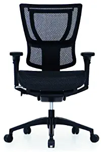 iOO Eurotech Office Ergonomic Chair Black Mesh and Black Frame with Head Rest