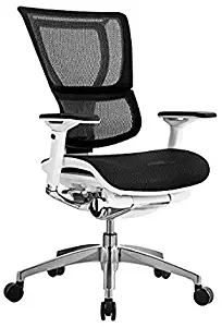 iOO Eurotech Office Ergonomic Chair Black Mesh and White Frame (NO Head Rest)